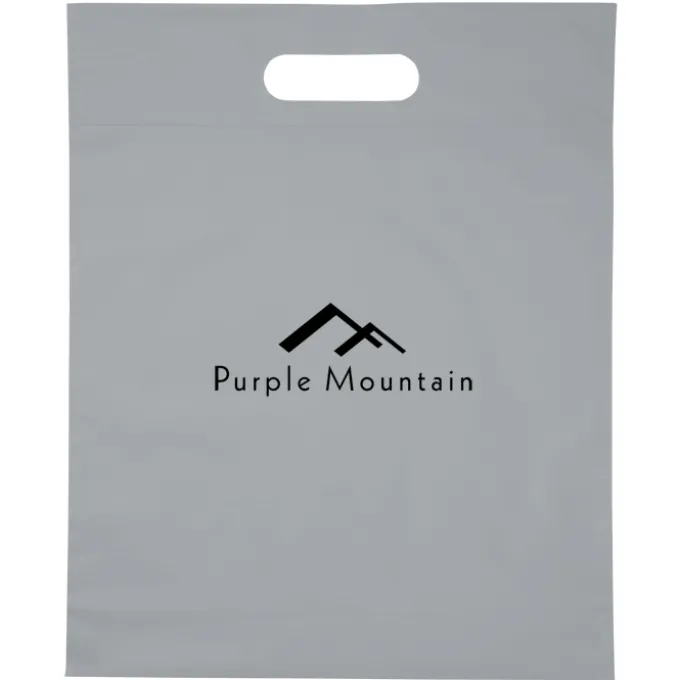 Convention Bag with Reinforced Handles - 15 inches x 12 inches