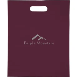 Convention Bag with Reinforced Handles - 15 inches x 12 inches