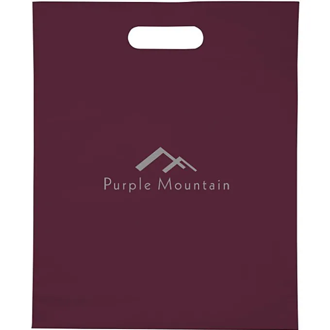 Convention Bag with Reinforced Handles - 15 inches x 12 inches
