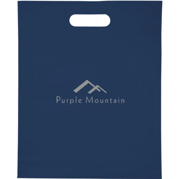 Convention Bag with Reinforced Handles - 15 inches x 12 inches