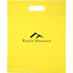 Convention Bag with Reinforced Handles - 15 inches x 12 inches