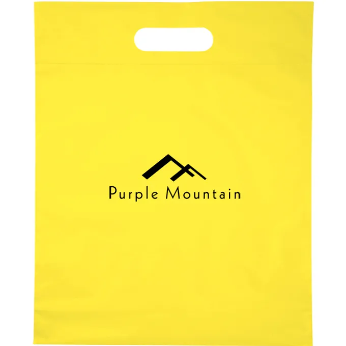 Convention Bag with Reinforced Handles - 15 inches x 12 inches