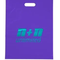 Convention Bag with Reinforced Handles - 19 inches x 15 inches