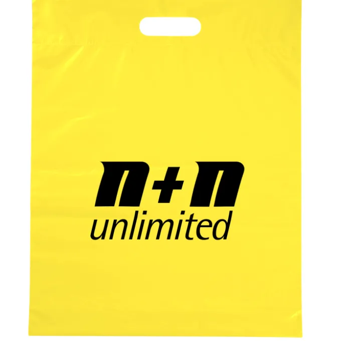 Convention Bag with Reinforced Handles - 19 inches x 15 inches