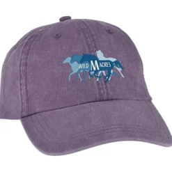 Cotton Pigment Dyed Twill Cap