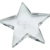 Crystal Star Paperweight