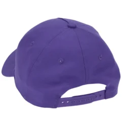 Dominate Snapback Cap - 24 hr