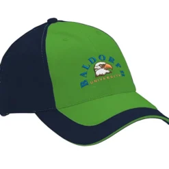 Double Decker Sandwich Cap - 24 hr