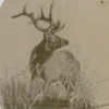 DRI DUCK Elk Cap