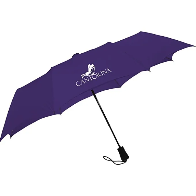 Element Automatic Mini Umbrella - 42-inch Arc