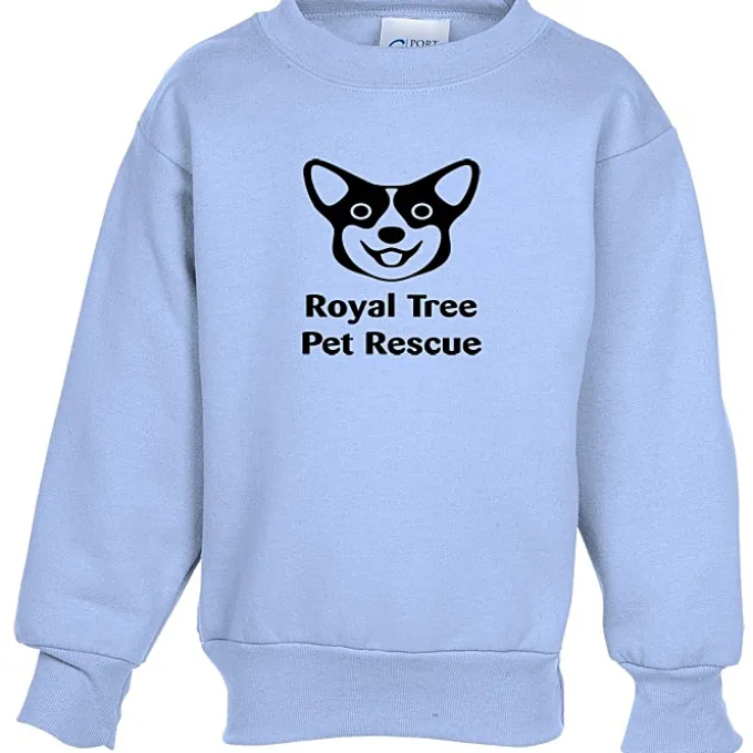 Fashion Crewneck Sweatshirt – Youth – Screen