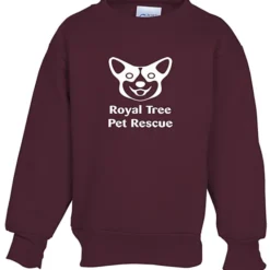 Fashion Crewneck Sweatshirt – Youth – Screen