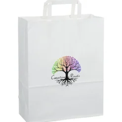Flat Handle Full Color Paper Bag - 13 inches x 10 inches