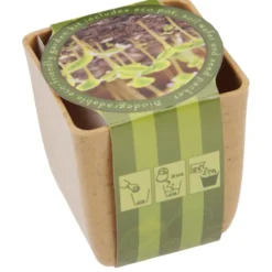 Flower Pot Set