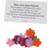 Flower Seed Multicolor Confetti Pack - Flower