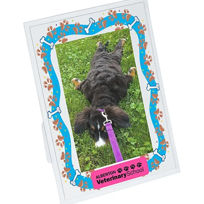Full Color Dual Easel Frame - 4 inches x 6 inches