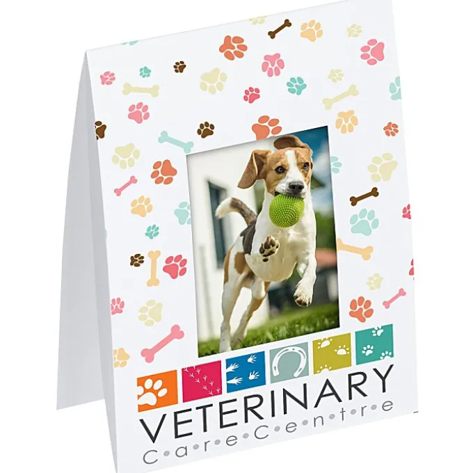 Full Color Mini Picture Frame - 24 hr