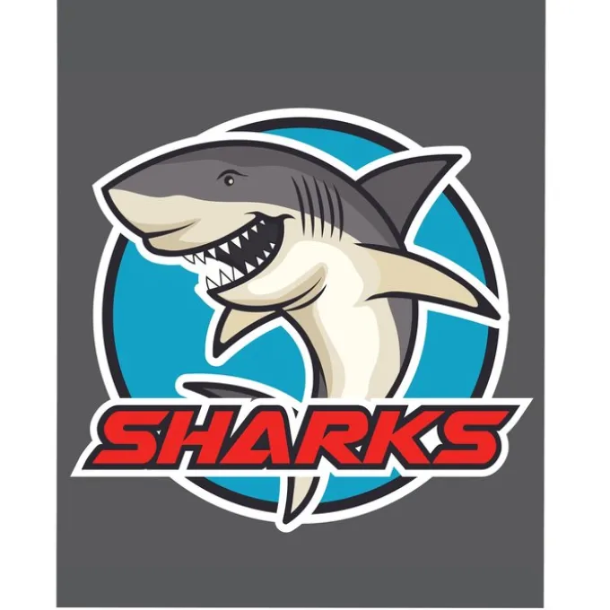 Full Color Static Decal - Rectangle - 4 inches x 5 inches