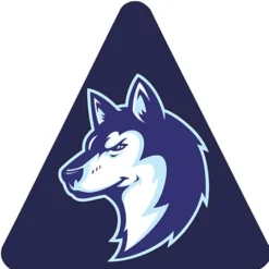 Full Color Static Decal - Triangle - 3 inches
