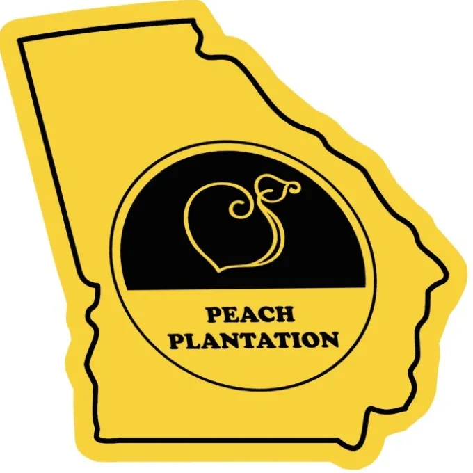 Georgia Sticker