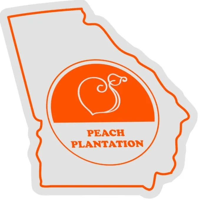 Georgia Sticker