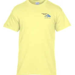 Gildan 5.3-oz Cotton T-Shirt - Men's - Embroidered