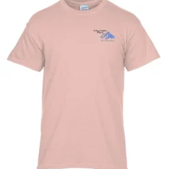 Gildan 5.3-oz Cotton T-Shirt - Men's - Embroidered