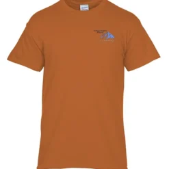 Gildan 5.3-oz Cotton T-Shirt - Men's - Embroidered