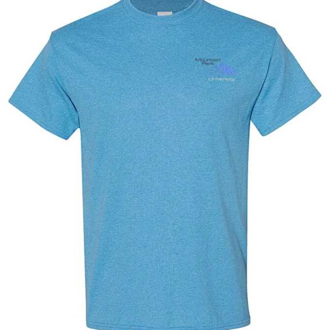 Gildan 5.3-oz Cotton T-Shirt - Men's - Embroidered