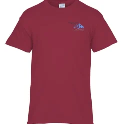 Gildan 5.3-oz Cotton T-Shirt - Men's - Embroidered