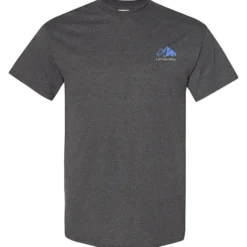 Gildan 5.3-oz Cotton T-Shirt - Men's - Embroidered