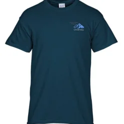 Gildan 5.3-oz Cotton T-Shirt - Men's - Embroidered