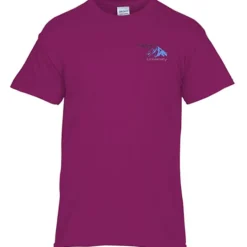 Gildan 5.3-oz Cotton T-Shirt - Men's - Embroidered