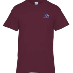 Gildan 5.3-oz Cotton T-Shirt - Men's - Embroidered