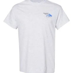 Gildan 5.3-oz Cotton T-Shirt - Men's - Embroidered