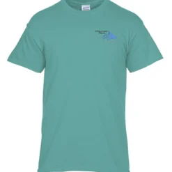 Gildan 5.3-oz Cotton T-Shirt - Men's - Embroidered