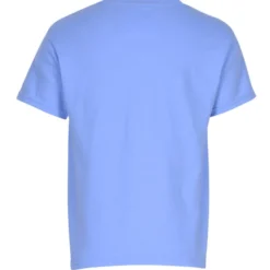 Gildan 5.3-oz Cotton T-Shirt - Youth - Embroidered