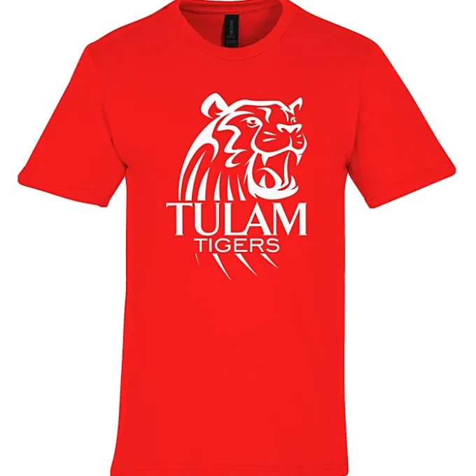 Gildan Softstyle Midweight T-Shirt - Men's