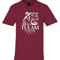 Gildan Softstyle Midweight T-Shirt - Men's