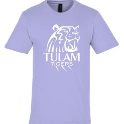 Gildan Softstyle Midweight T-Shirt - Men's