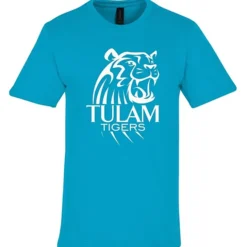 Gildan Softstyle Midweight T-Shirt - Men's