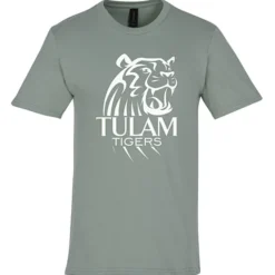 Gildan Softstyle Midweight T-Shirt - Men's