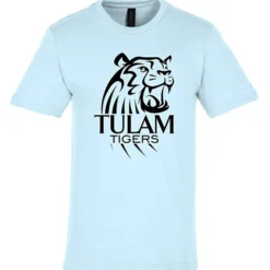 Gildan Softstyle Midweight T-Shirt - Men's