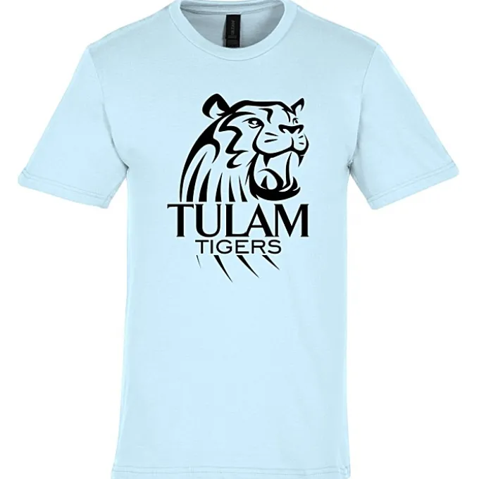 Gildan Softstyle Midweight T-Shirt - Men's