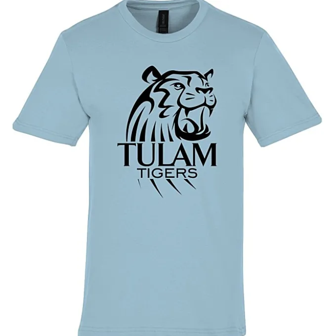 Gildan Softstyle Midweight T-Shirt - Men's
