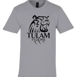 Gildan Softstyle Midweight T-Shirt - Men's