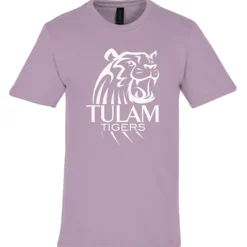 Gildan Softstyle Midweight T-Shirt - Men's