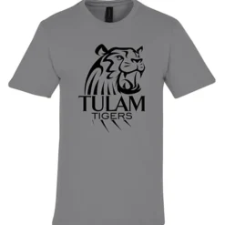 Gildan Softstyle Midweight T-Shirt - Men's