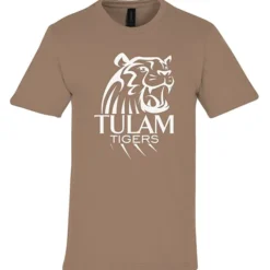 Gildan Softstyle Midweight T-Shirt - Men's