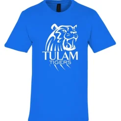 Gildan Softstyle Midweight T-Shirt - Men's